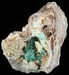 Fibrous Malachite Crystals on Matrix - Morocco #49456-2